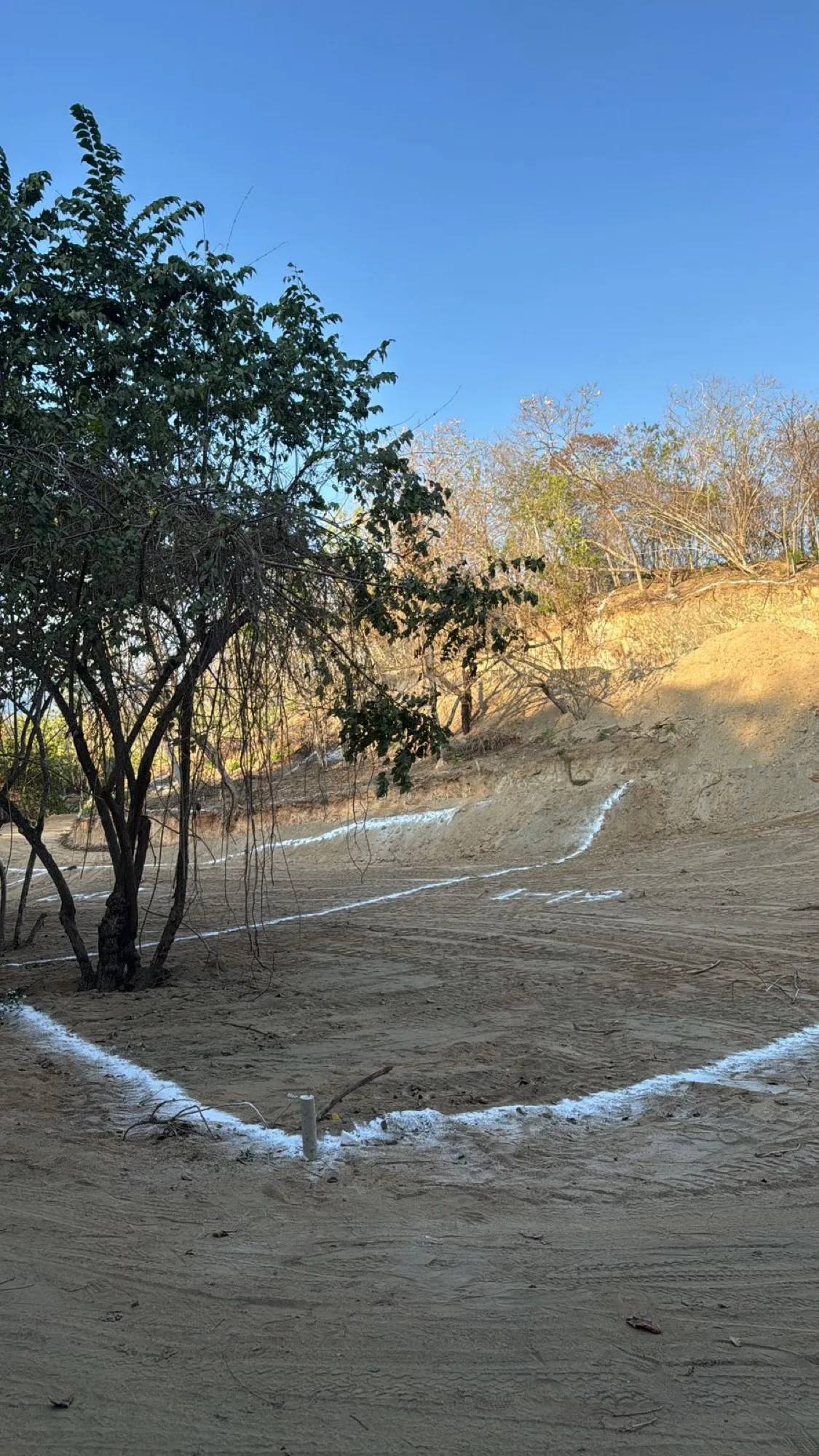 Curva de línea blanca trazada sobre tierra clara, con un árbol y cielo azul