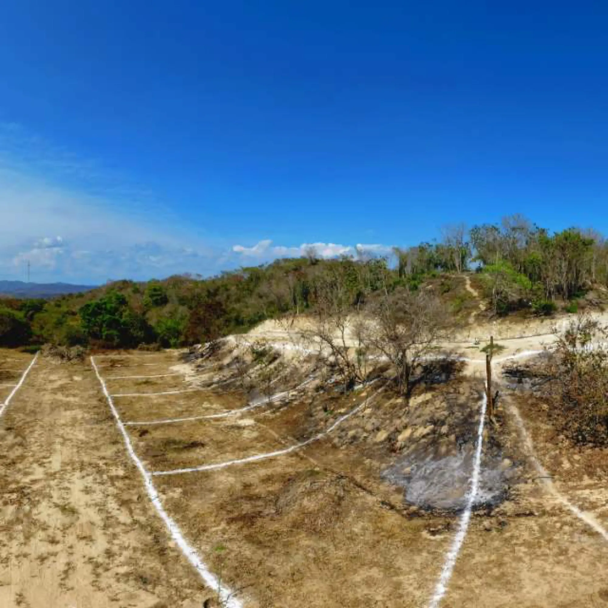 Terreno con líneas blancas trazadas en la tierra y cielo azul