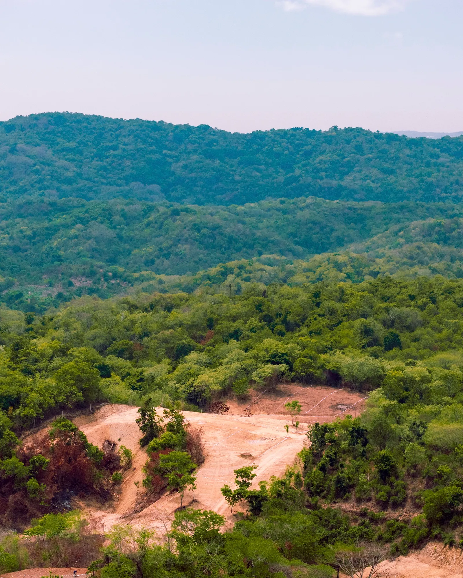 Cerros cubiertos de vegetación con un claro de tierra