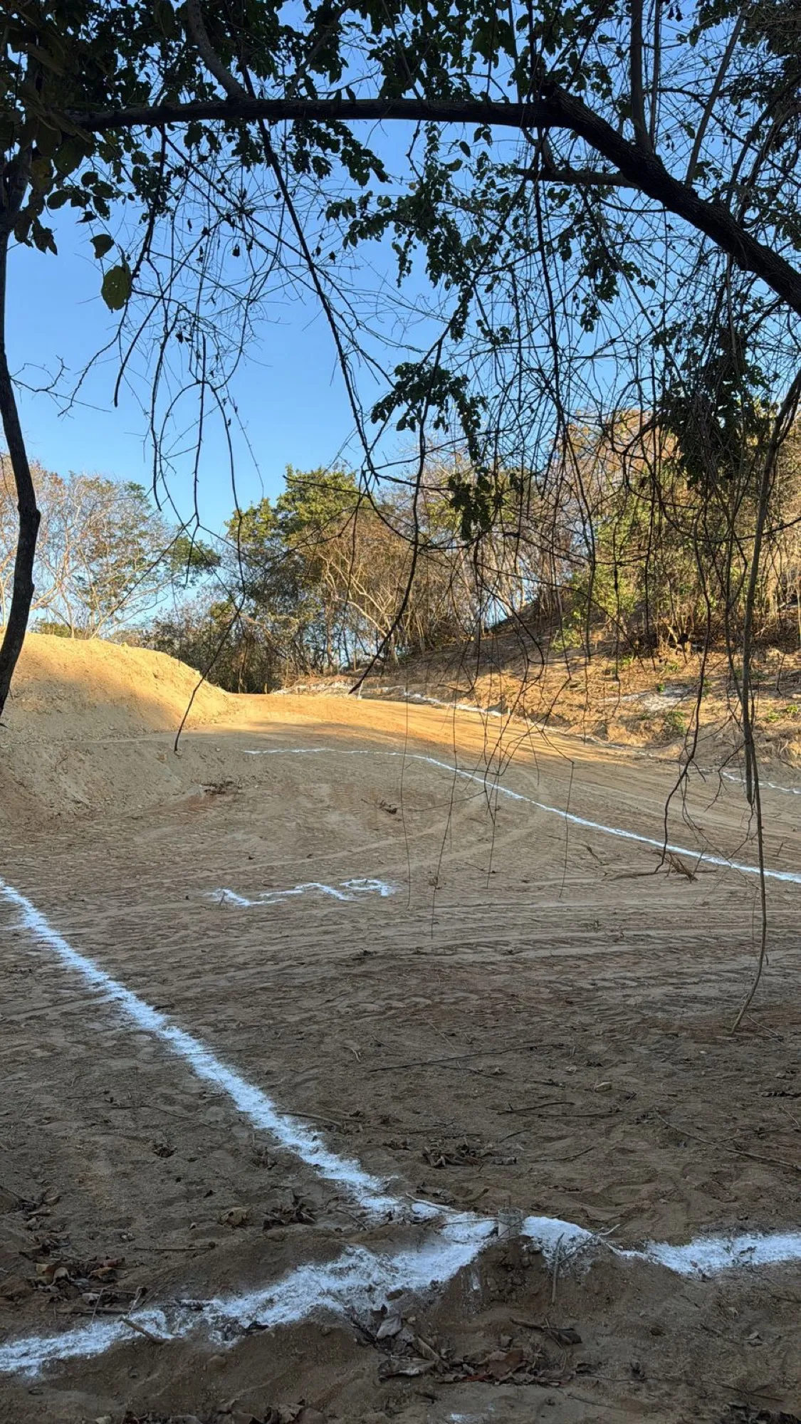 Terreno de tierra clara con un árbol a la izquierda y líneas blancas