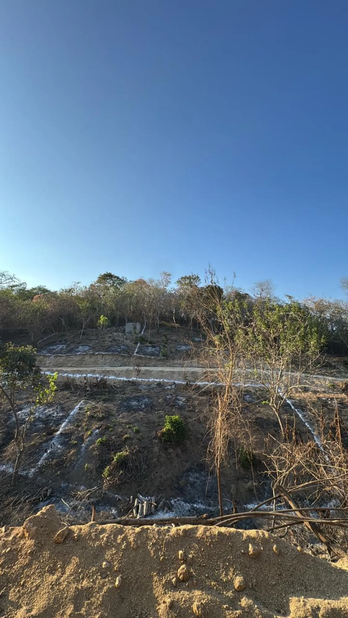 Ladera con vegetación seca y cielo azul